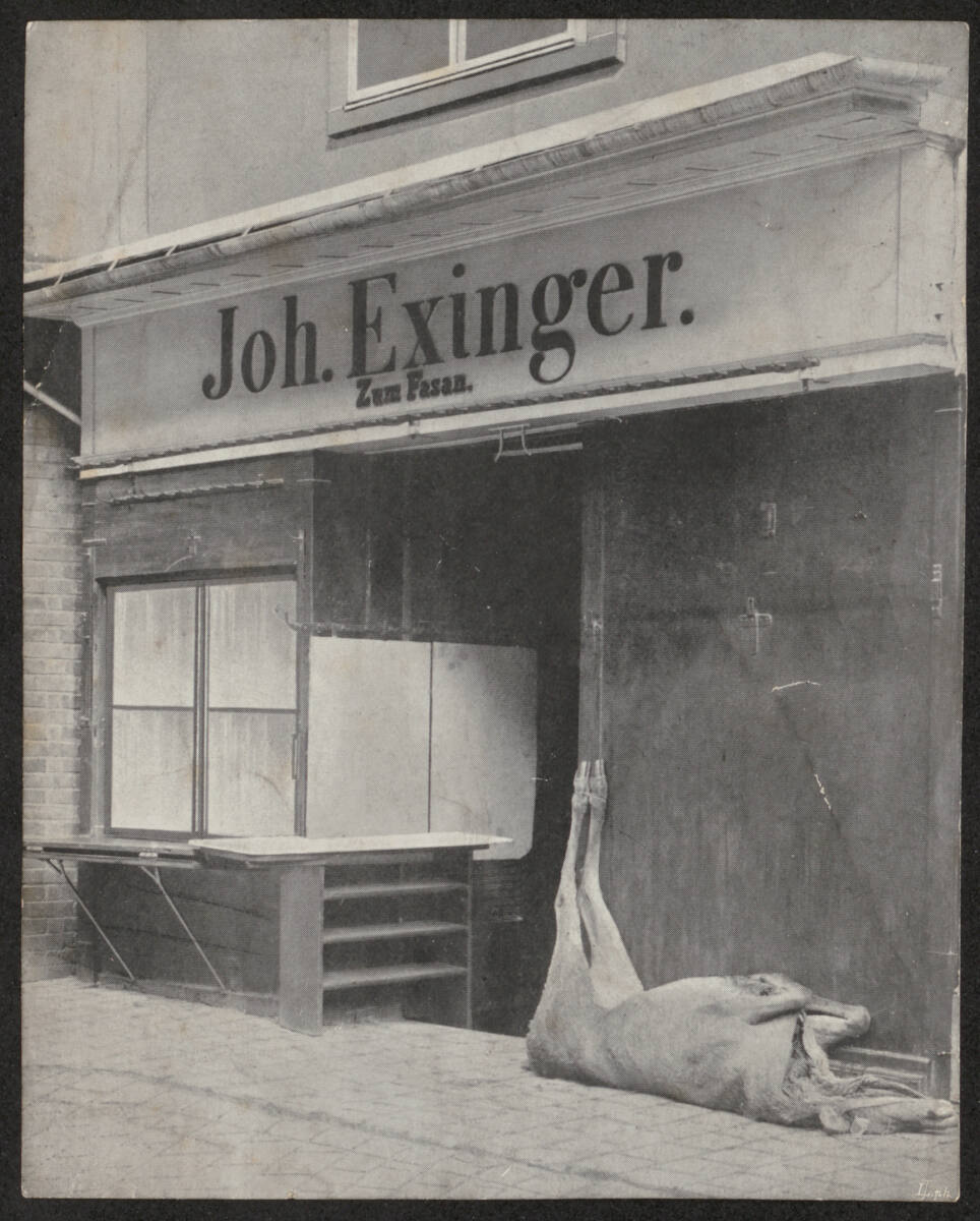 Anonym, Geschäftslokal Wildfleischer Johann Exinger, Aufnahme verwendet für "Das Andere", Nr. 2, 15. Oktober, 1903