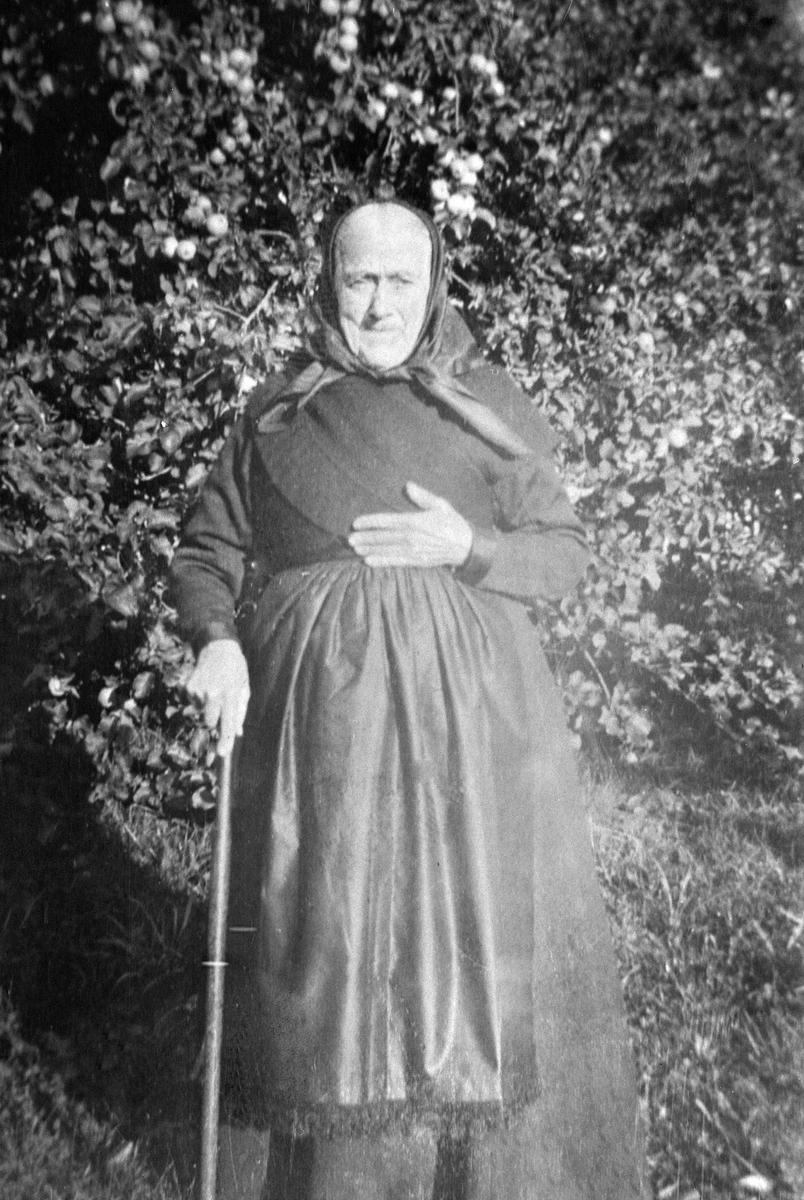 Anno Domkirkeodden, ANNE SIGSTAD FØDT RØNE, SIGSTAD, LØTEN DØD 1920, KVINNEDRAKT, HODEPLAGG, TØRKLE, SKAUT, STOKK.