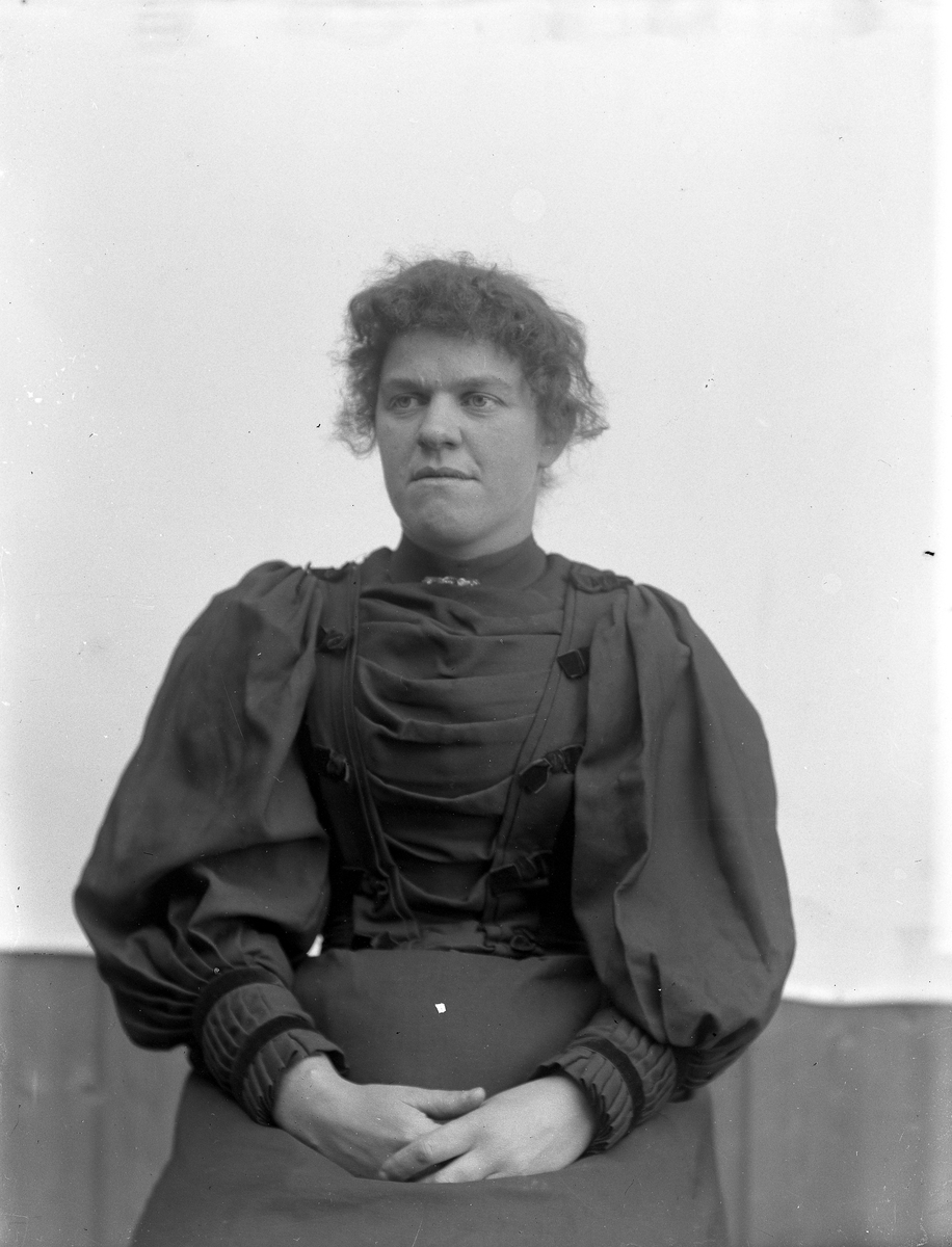 Jakob Jakobsen Engerdal, Portrett av dame. Sofie Strandvold g. Lillevold (1871-1922).