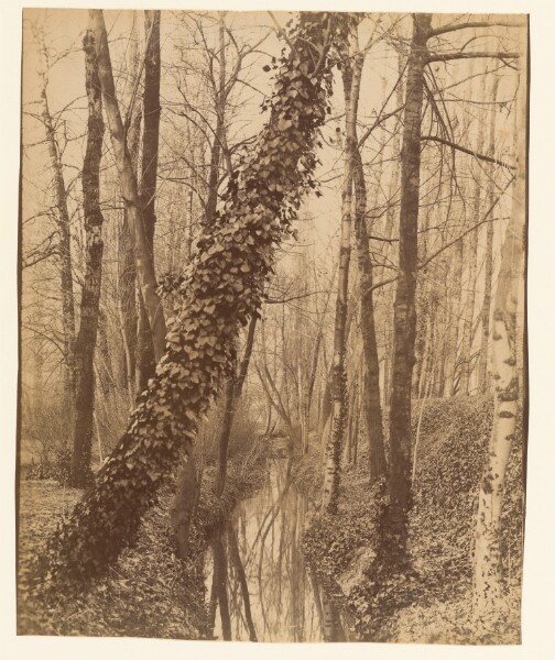 Eugène Atget, La Bièvre, Boulevard d'Italie