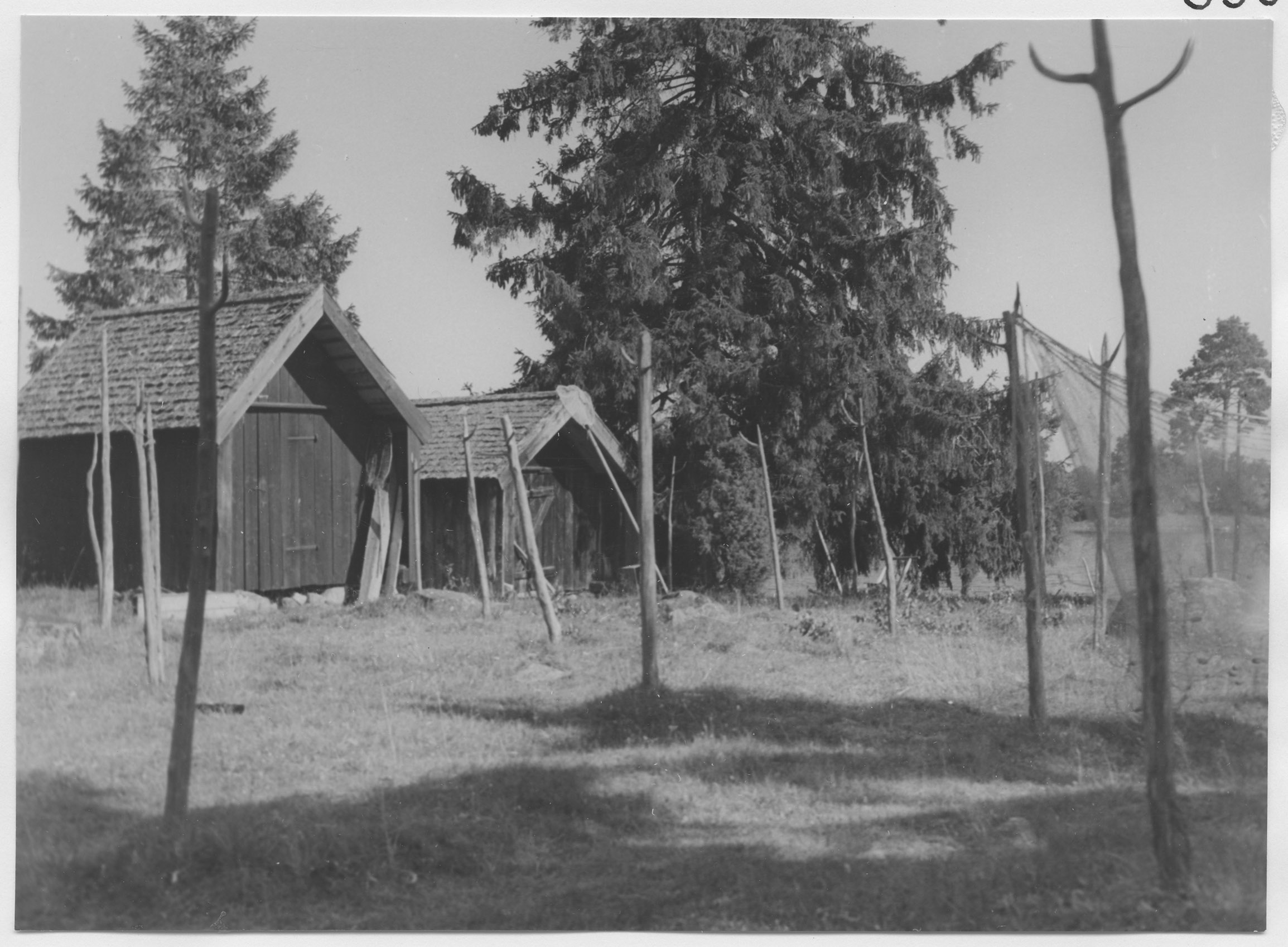 Mårten Sjöbeck, Lövö