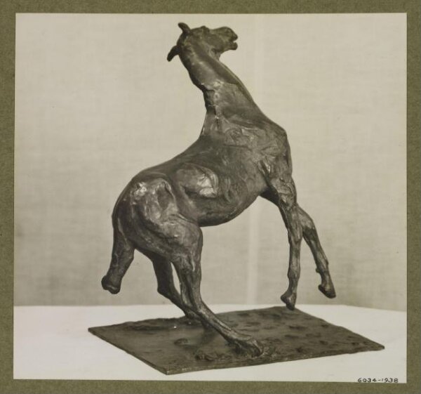 unknown, Photograph
