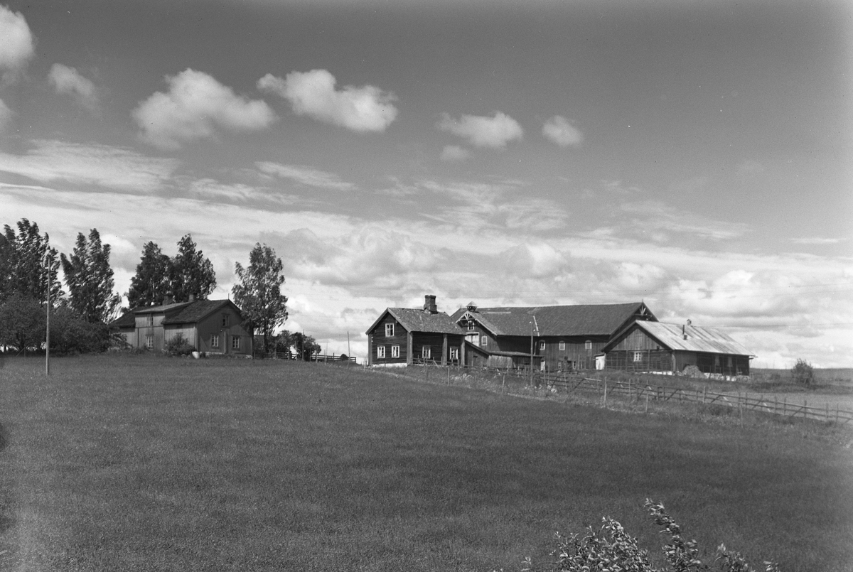 Anno Domkirkeodden, EKSTR: GARDSTUN, SEGLEN, LØTEN. Se Løtenboka, bind 1. Bygdeboka fra 1949, side 348