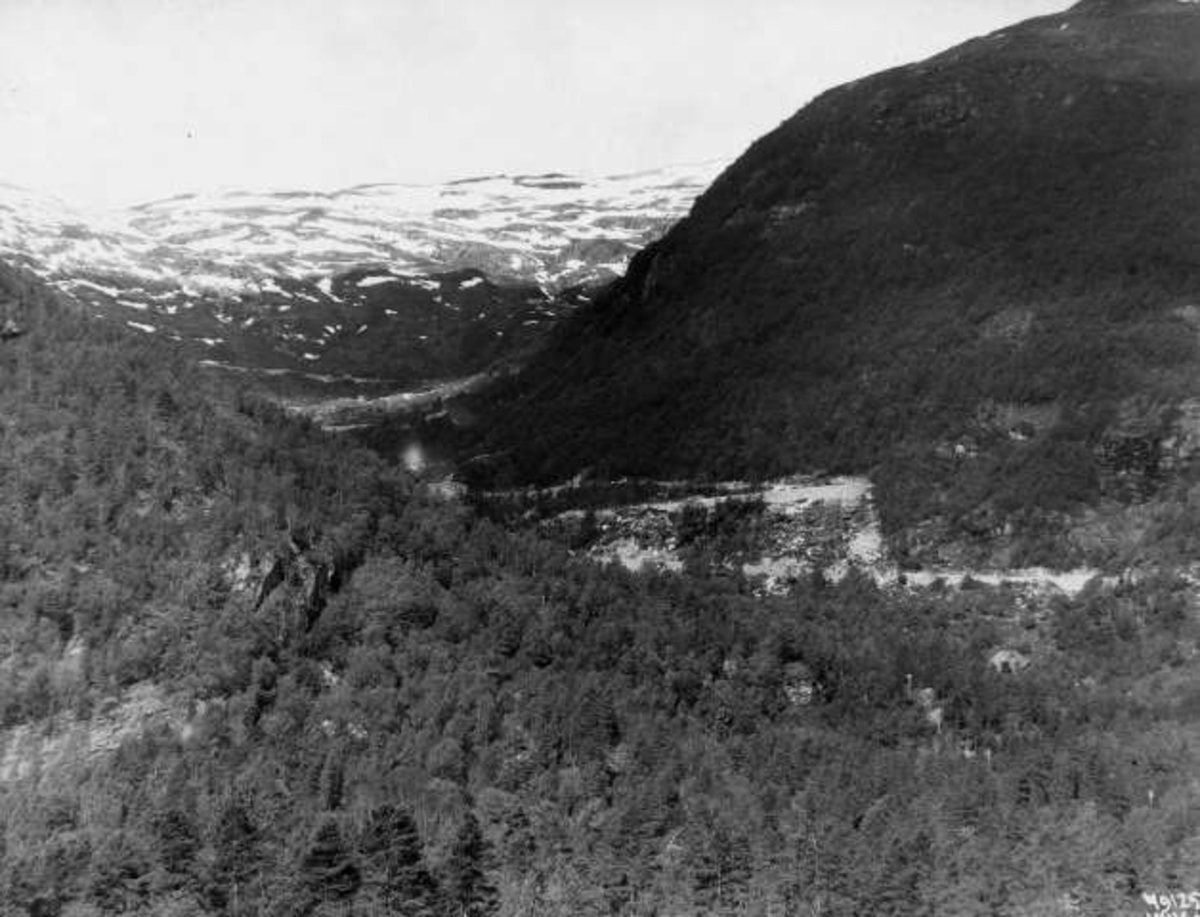 Anders Beer Wilse, -6574