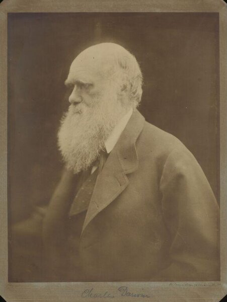 Cameron, Julia Margaret, Charles Darwin