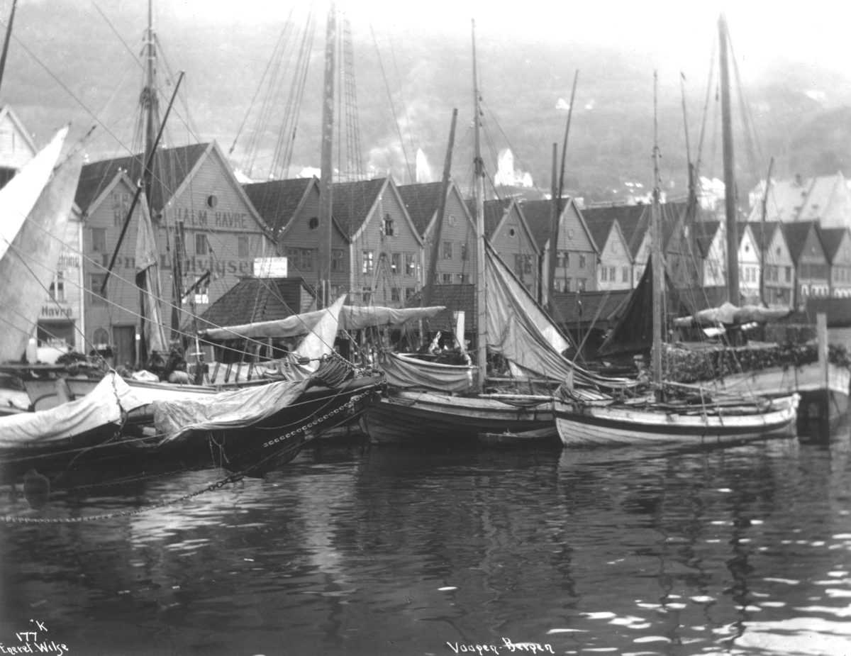 Anders Beer Wilse, Bergen V og Z, Vågen
