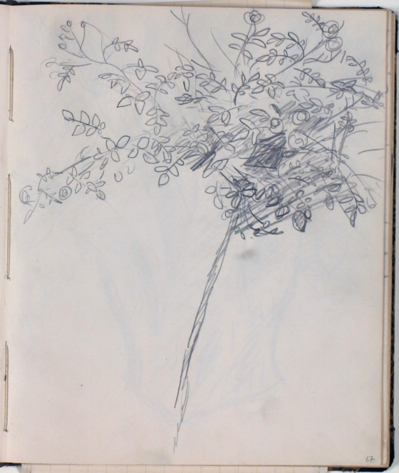 Niels Larsen Stevns, Plantestudie