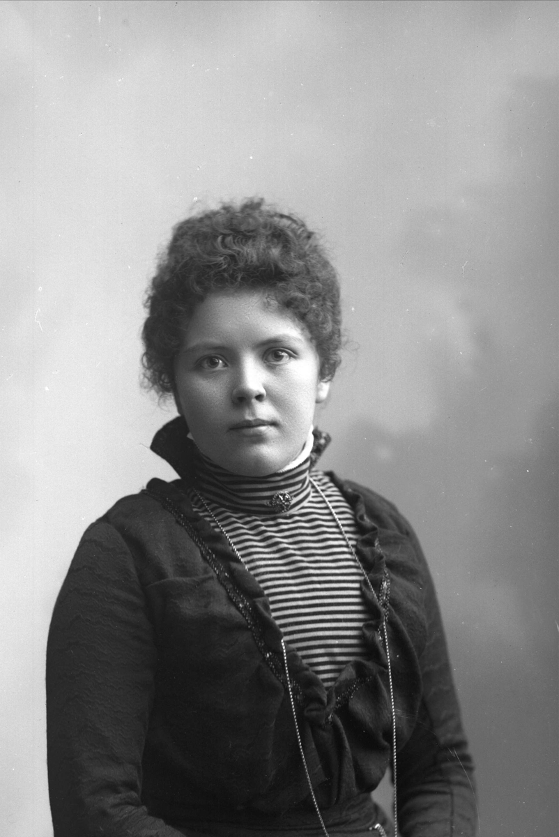 Gustav Borgen, NFB.23924