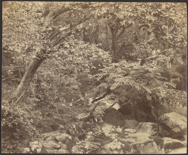 Unknown, [Landscape with Stream and Trees]