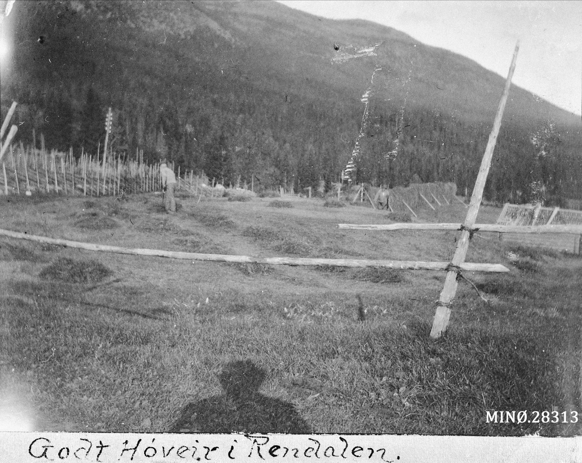 Rugsveen, Johan, Undseth, Hesjing. "Godt Høveir i Rendalen"
