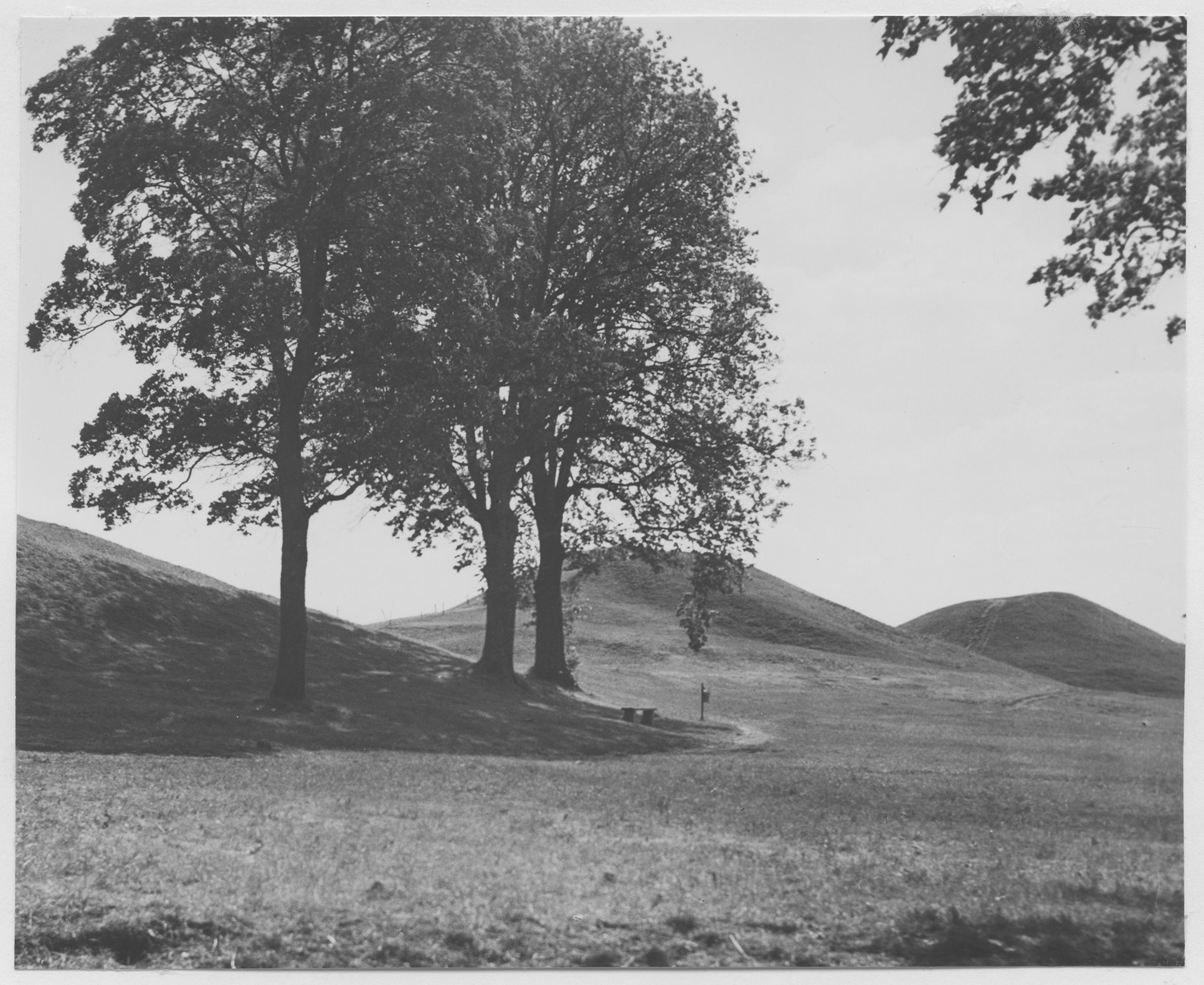 Mårten Sjöbeck, Uppsala högar