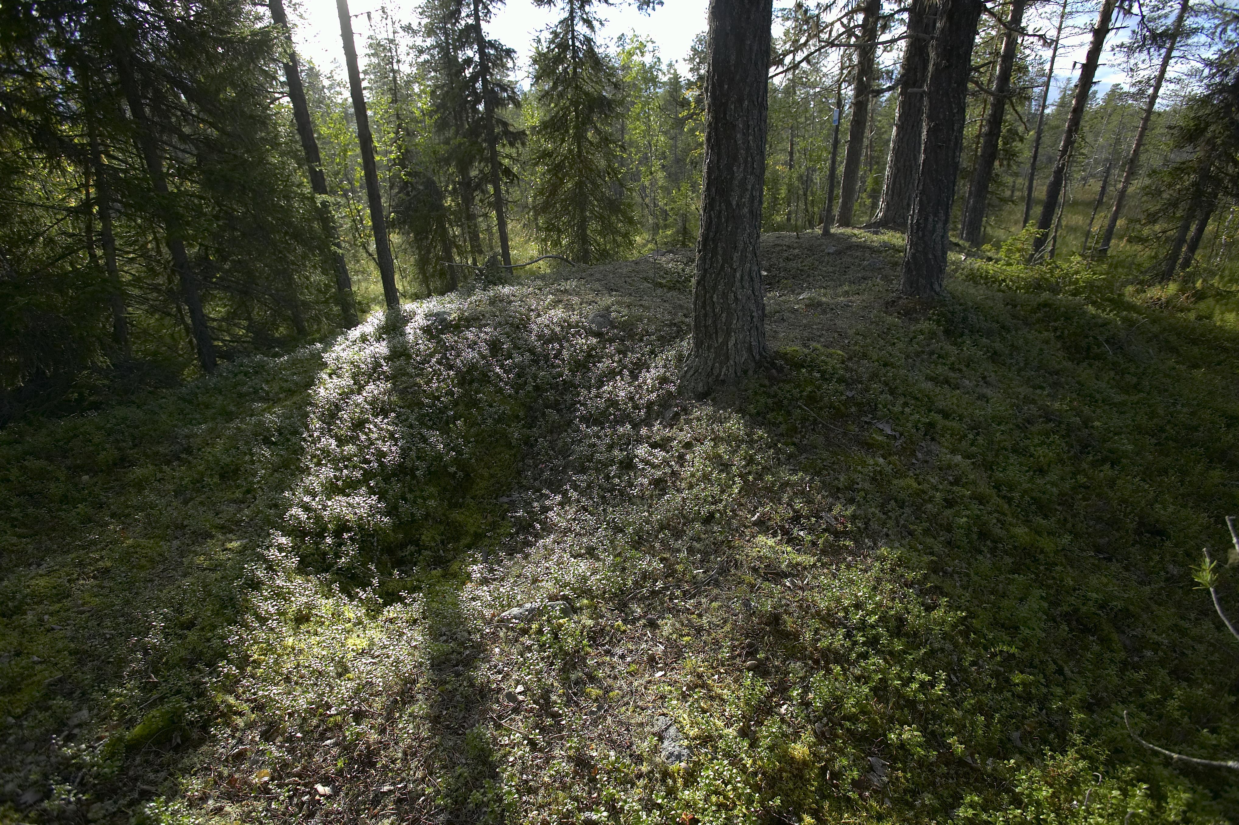 Bengt A Lundberg, Kaltisbäcken