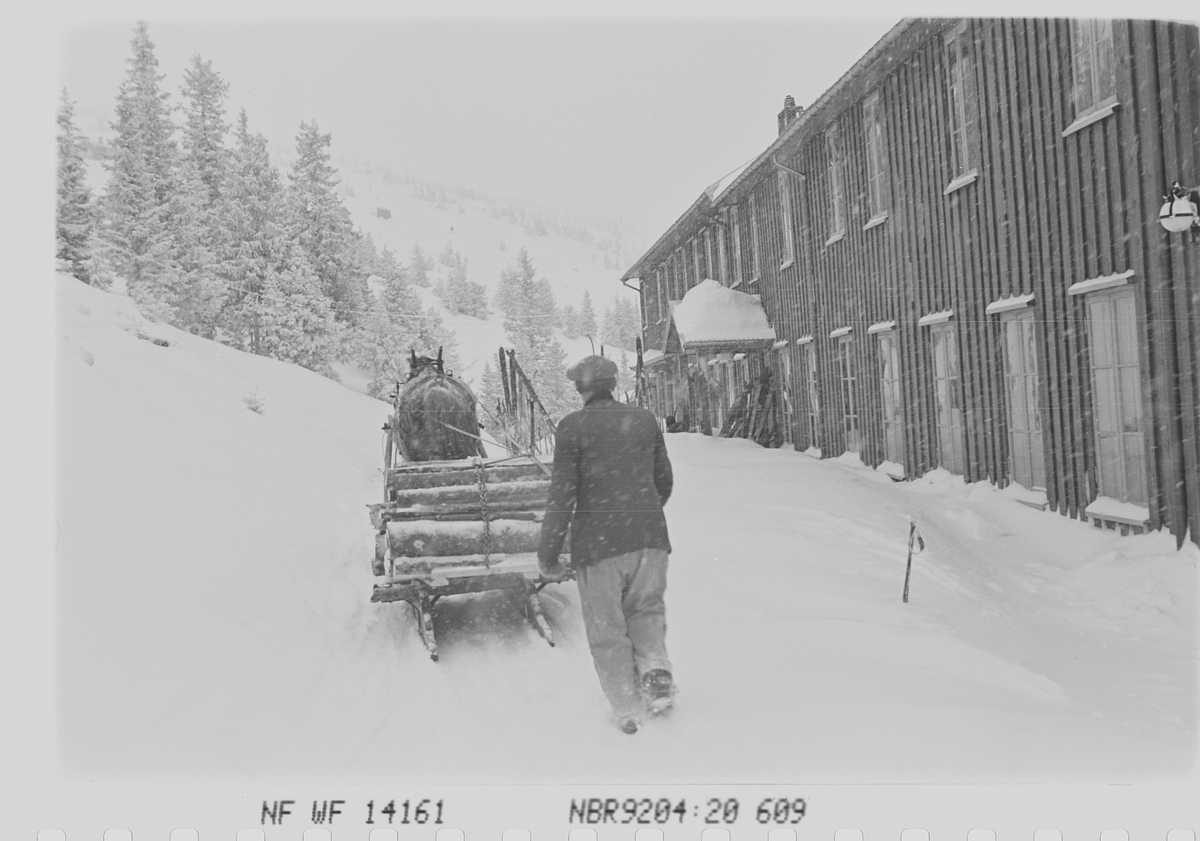 Anders Beer Wilse, Prot: Veden kjöres inn