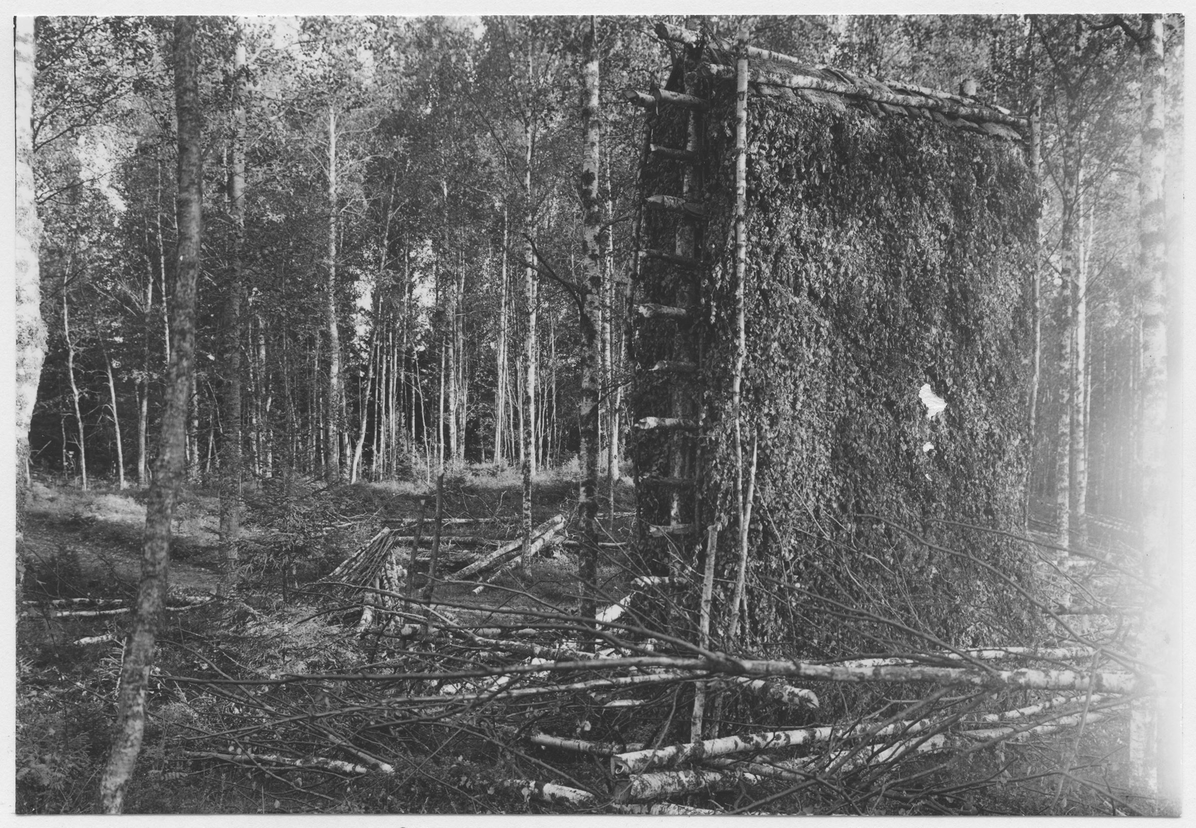 Mårten Sjöbeck, Tiveden, björklövskärvar på höghässja