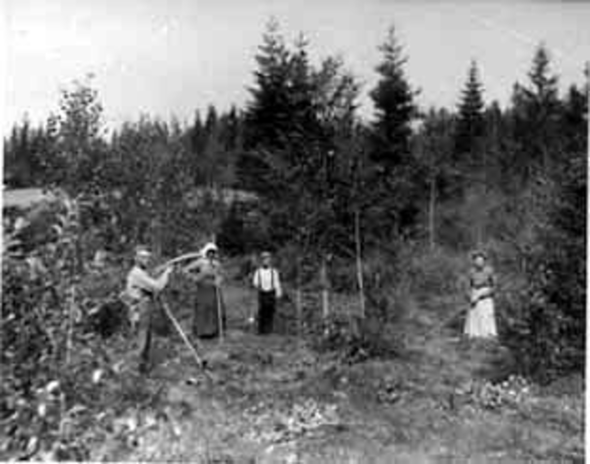 Anno Domkirkeodden, SLÅTTONN, GRUPPE: 4, FRA VENSTRE: GUDBRAND KLAFSTAD, ANNE KNUDSEN (KNUSERANNE), LEGD-GUTT, GUNDA ALETTE HAUGAASEN ANDERSEN, LEGDGUTTEN ER NAVNLØS, FOTOGRAFEN ER SØNN AV ANNE KNUDSEN