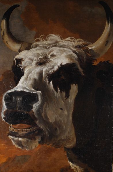 Jan Asselijn, Bellowing Ox