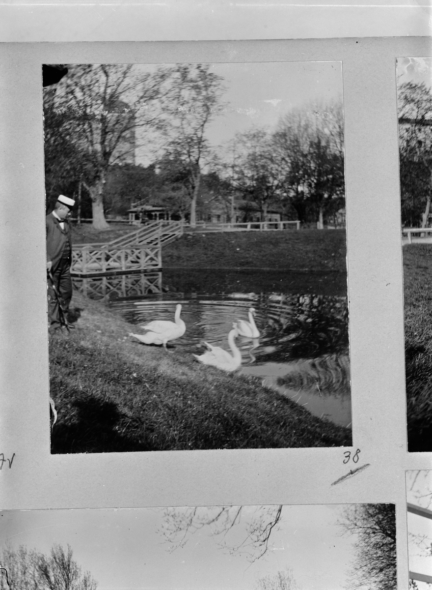 Carl Liljefors, Medicine Students Moje Rånlund at Svandammen, Uppsala 1900 - 1901