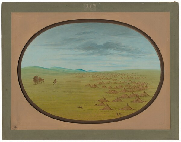 George Catlin, Prairie Dog Village