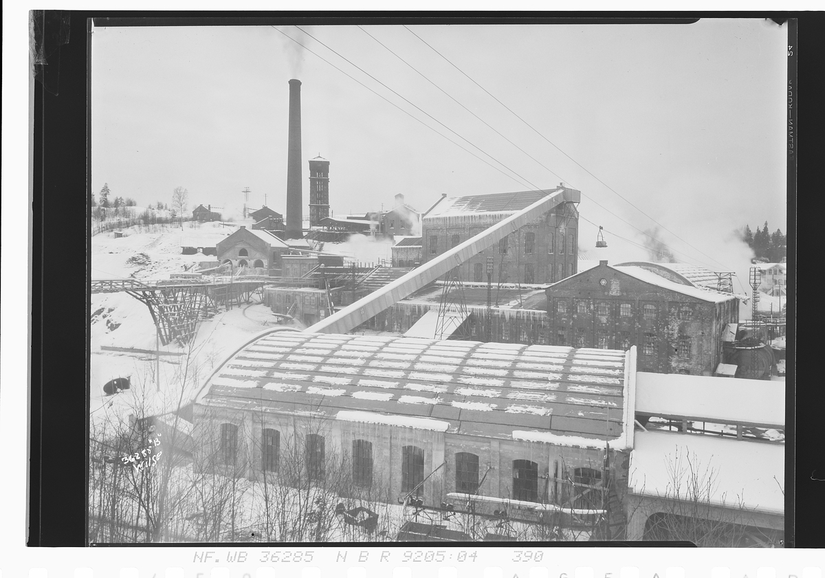 Anders Beer Wilse, Prot: Toten Cellulosefabrik Gjøvik