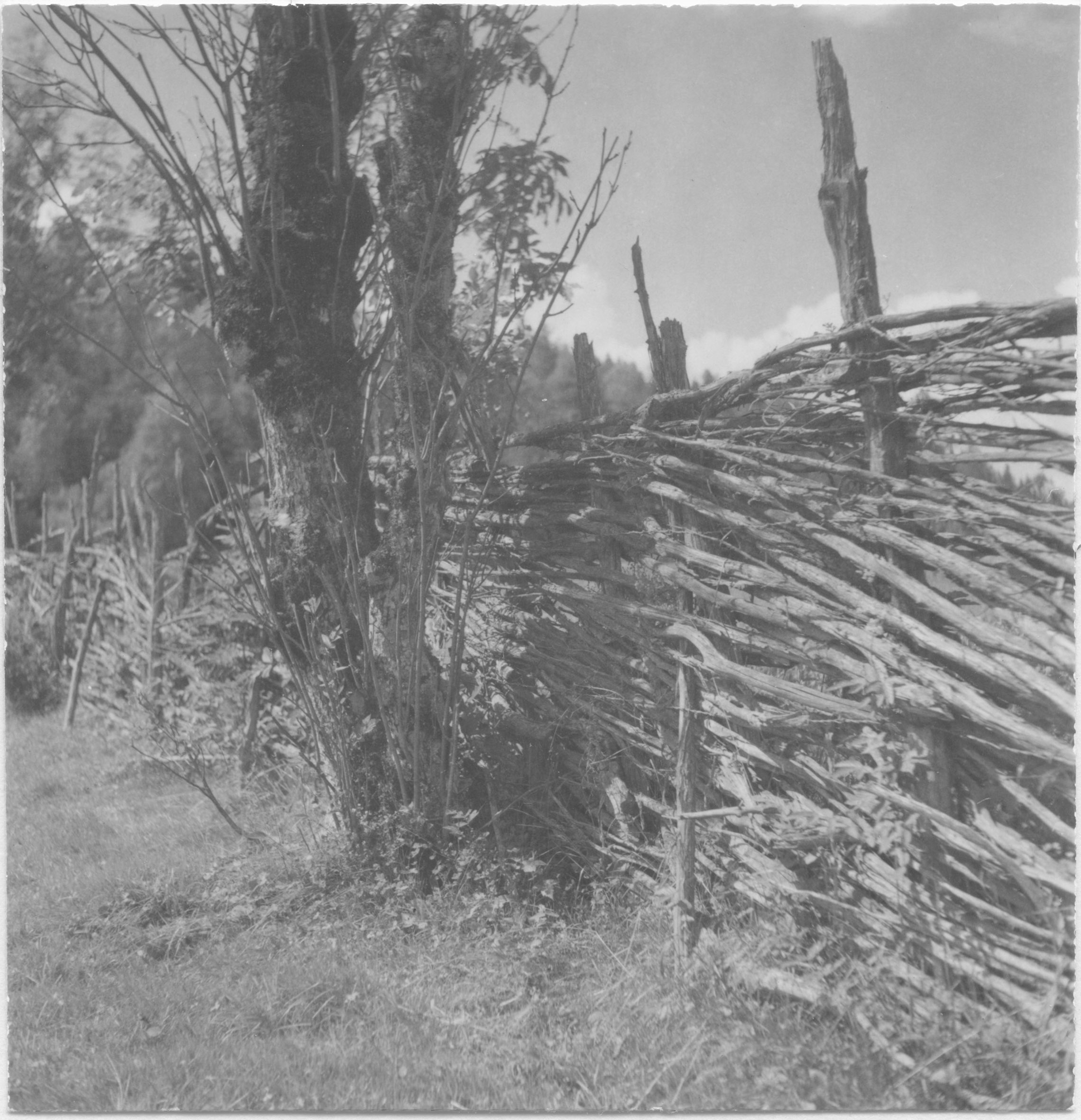 Mårten Sjöbeck, Hallandsboda