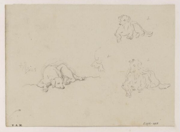 George Chinnery, Three drawings of a dog