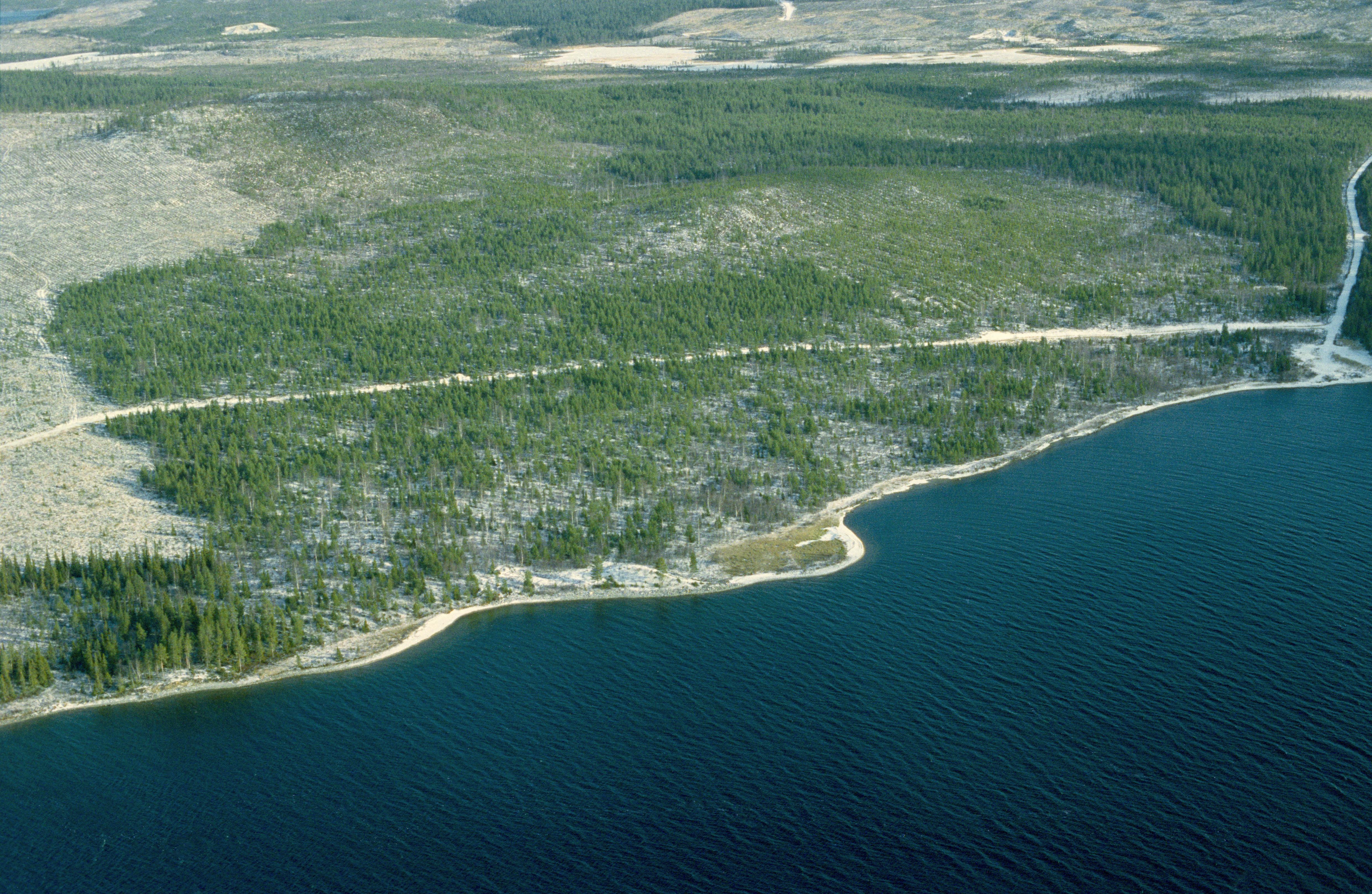 Jan Norrman, Storsjö 9:1