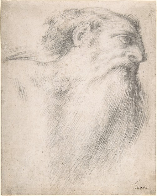 Lorenzo Lotto, Head of a Bearded Man