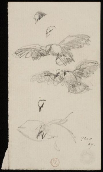 William Etty, Drawing