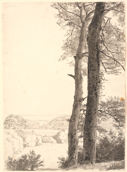 P.C. Skovgaard, Landskab ved Skarritsø med to høje træer, bøge, i forgrunden.