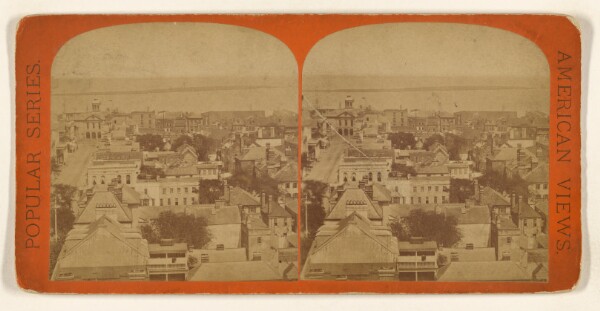 Edward and Henry T. Anthony & Co., From the Tower of St. Michaels Church Looking East. [Charleston, S.C.]