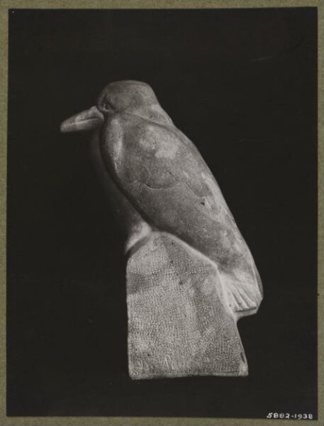 unknown, Photograph