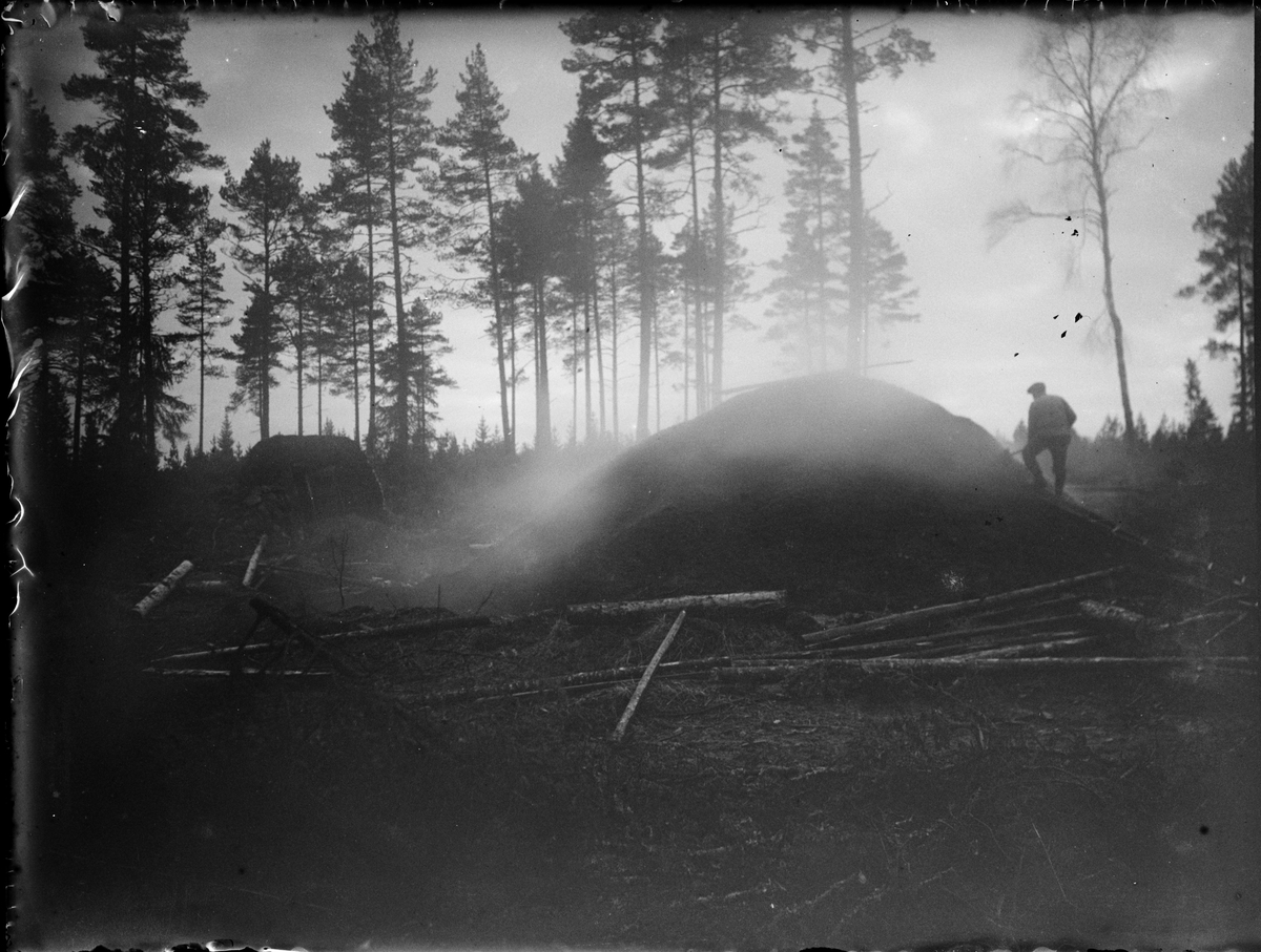 Skötsner-Edhlund, Man on a Carbon Mila, Sweden