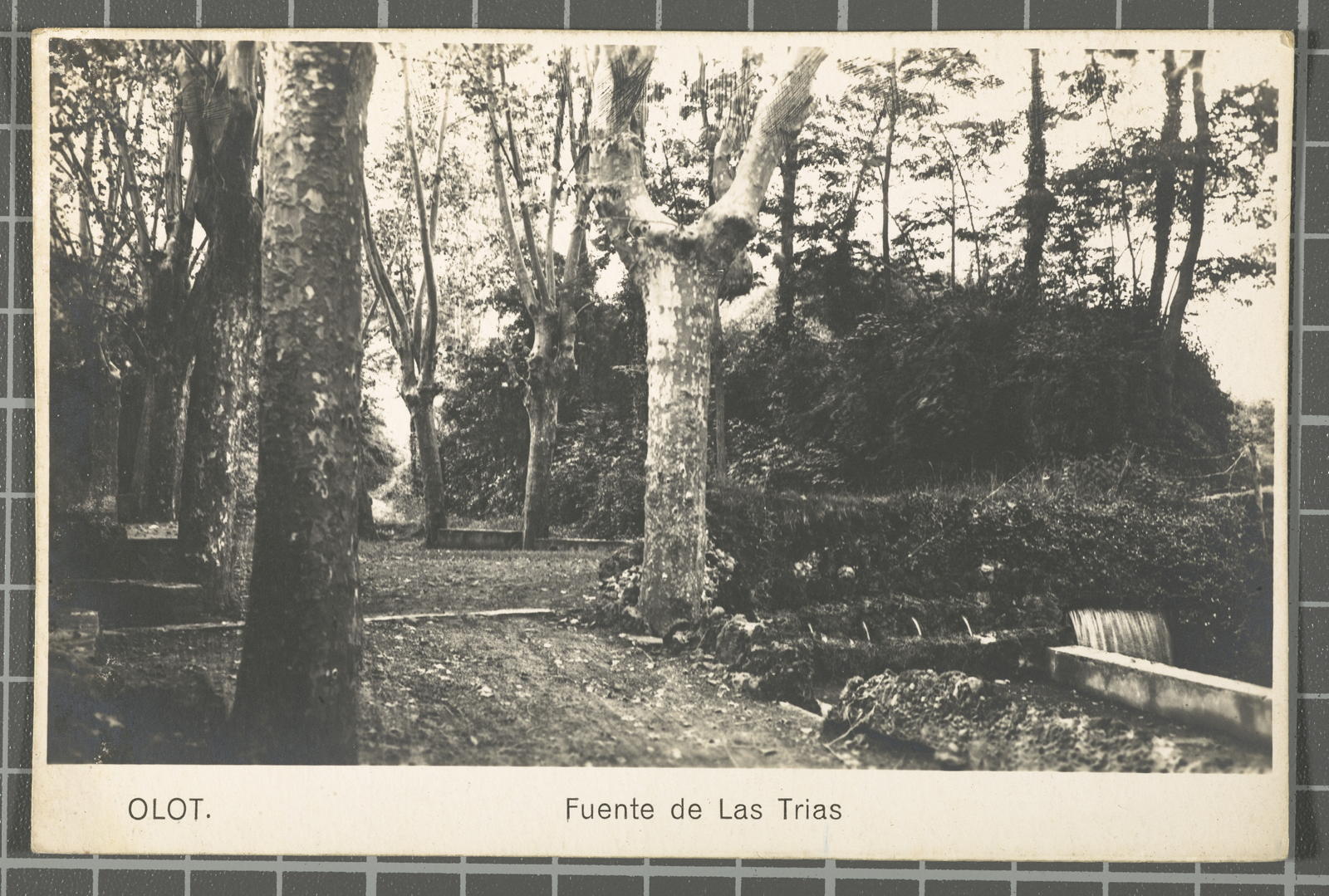 Desconegut, Olot. Fuente de Las Trias