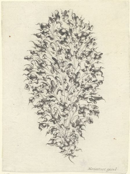 Moncornet, Balthasar, (approximately 1600-1668), (printmaker), Stylized flowers and leafs: Stylized flowers and leafs in an oval bouquet