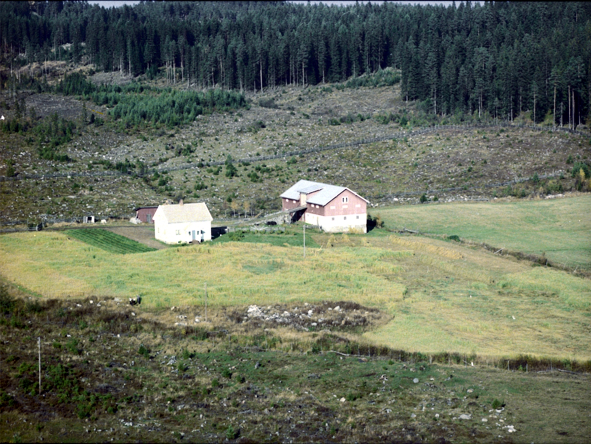 Widerøes Flyveselskap A/S, FLYFOTO FURULUND, VALLSET