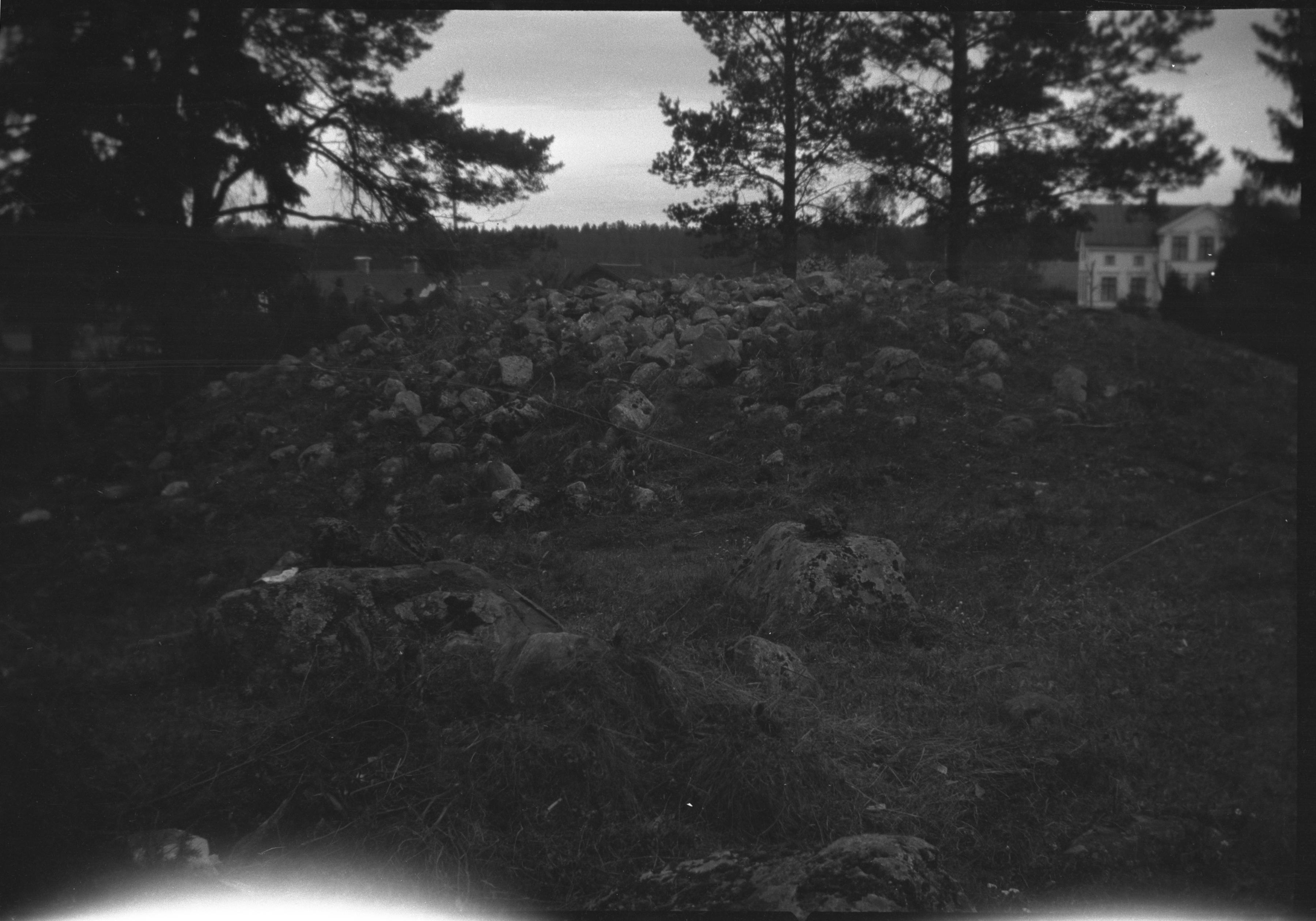 Berit Wallenberg, Järvsta gravfält