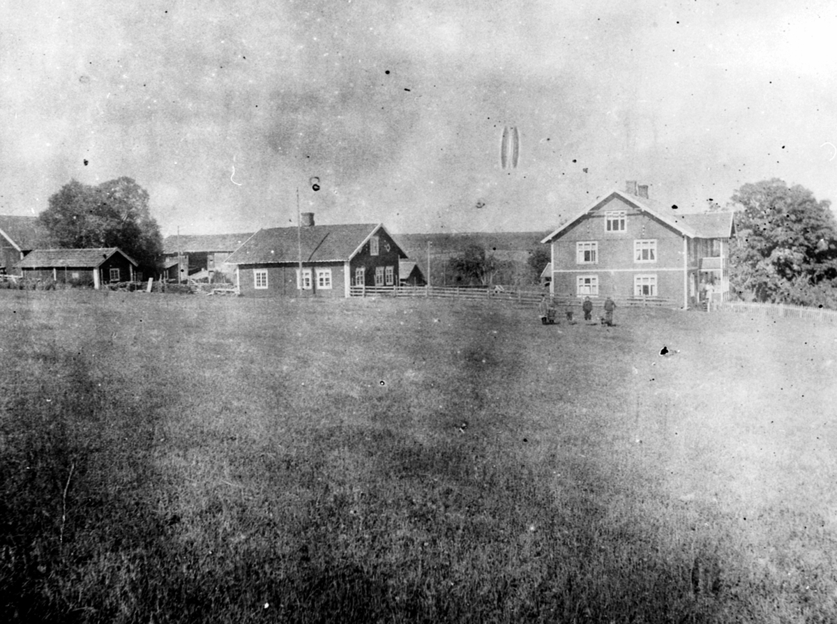 Anno Domkirkeodden, Oversikt gardsbruk, Torseter store, Veldre, Ringsaker.