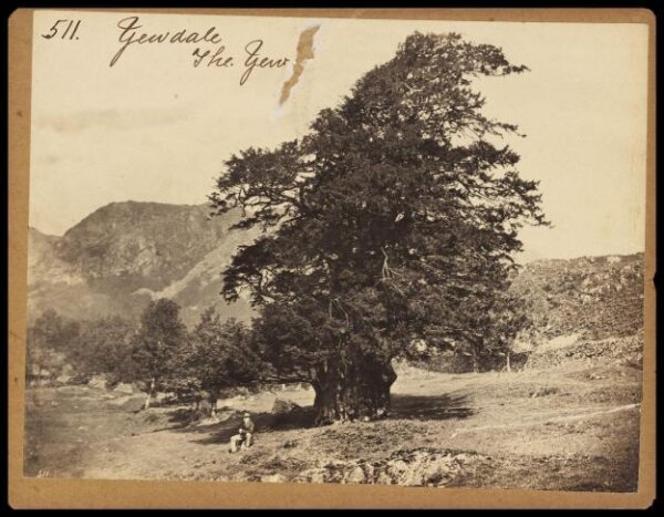 Francis Frith, Photograph