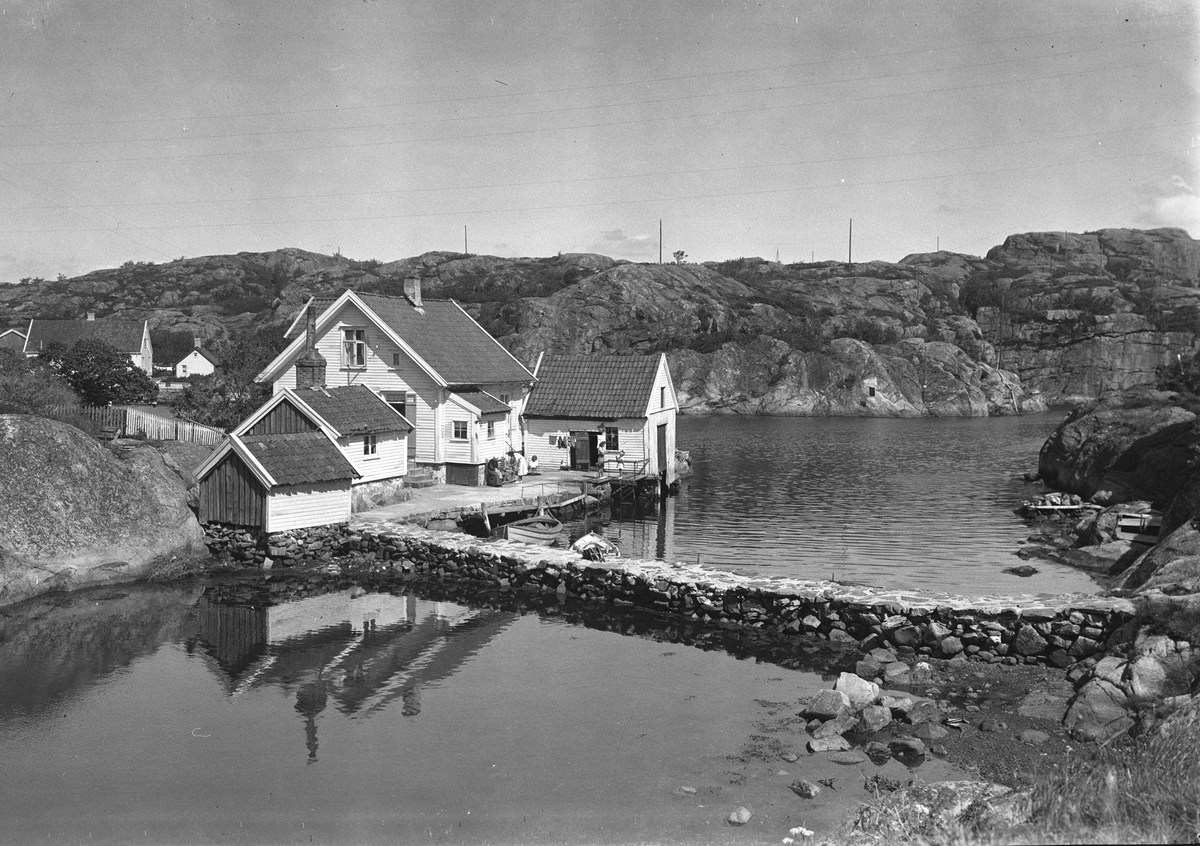 Anders Beer Wilse, Prot: Ny Hellesund