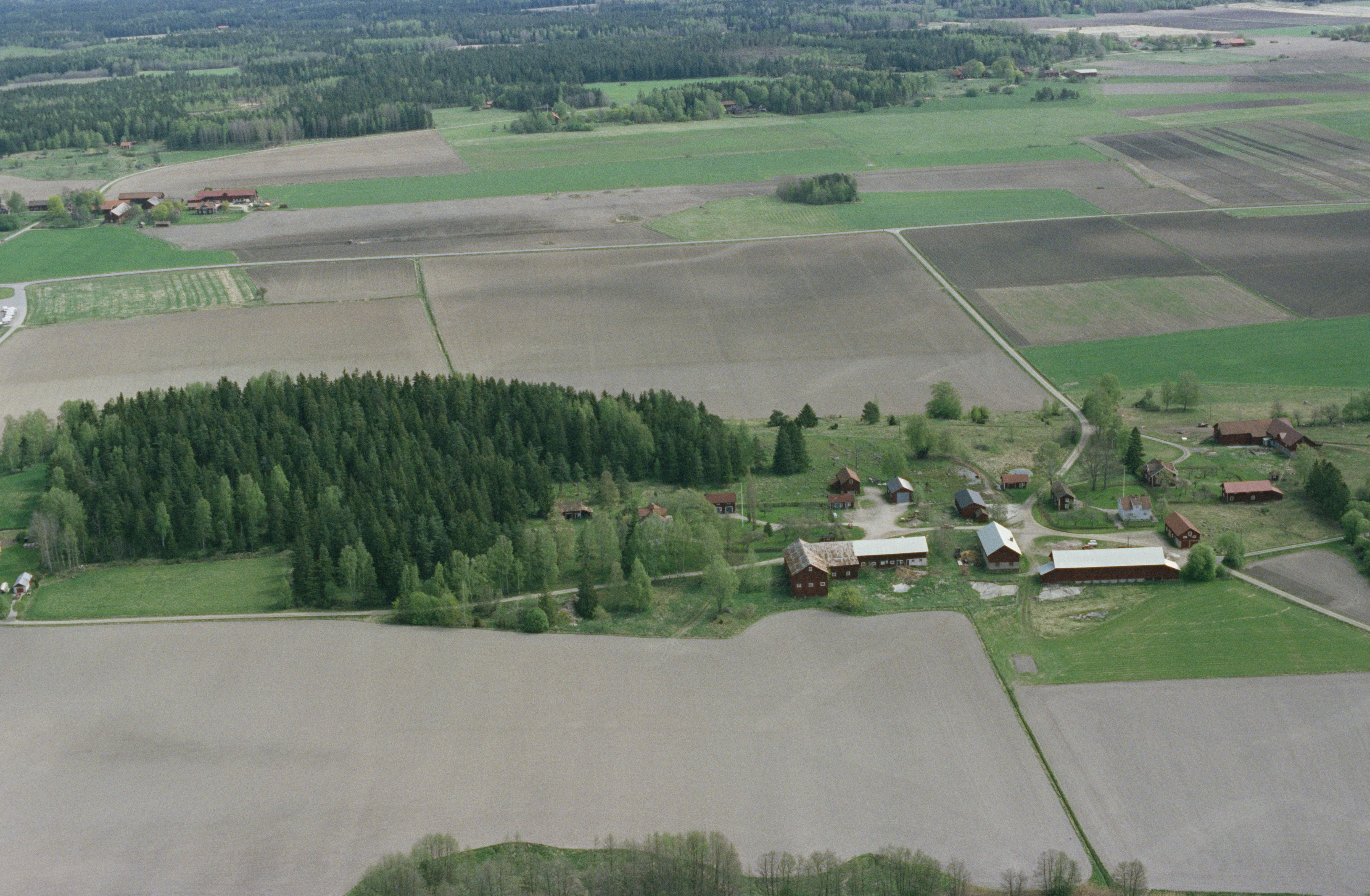 Jan Norrman, Munktorp 132:1