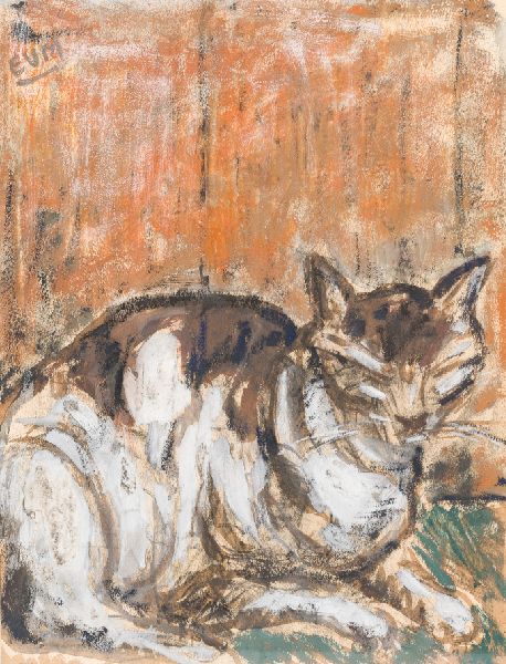 Eugeen Van Mieghem, Cat