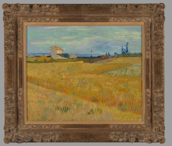 Vincent van Gogh, Korenveld