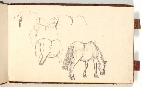 P.C. Skovgaard, Studier af en drikkende hest