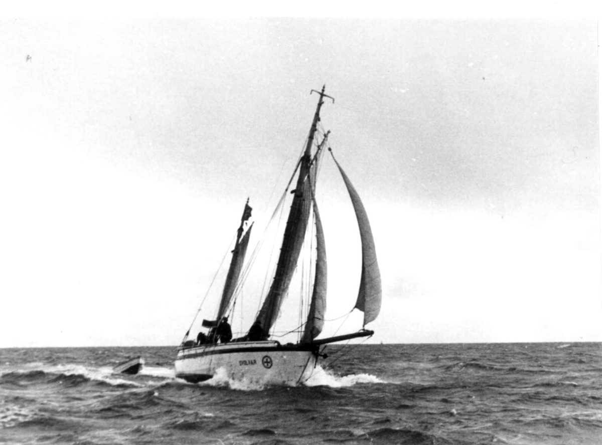 Anders Beer Wilse, Lofotfiske