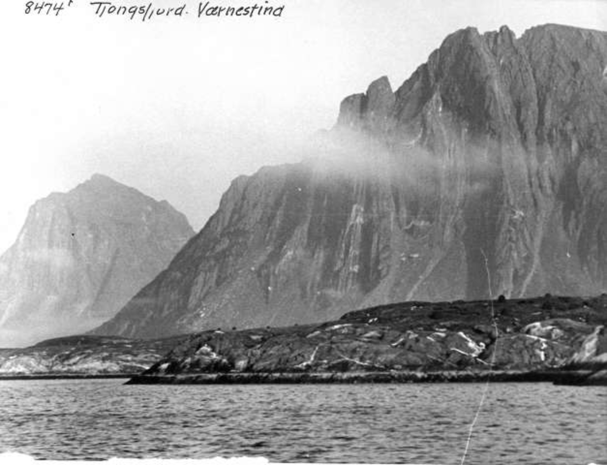 Anders Beer Wilse, -5829