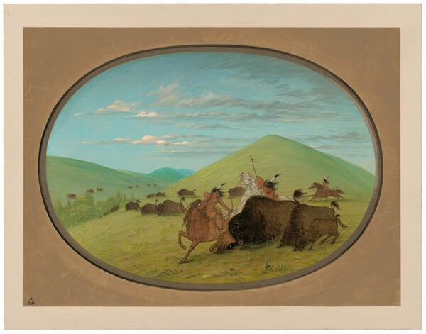 George Catlin, Buffalo Chase - Bulls Protecting the Calves