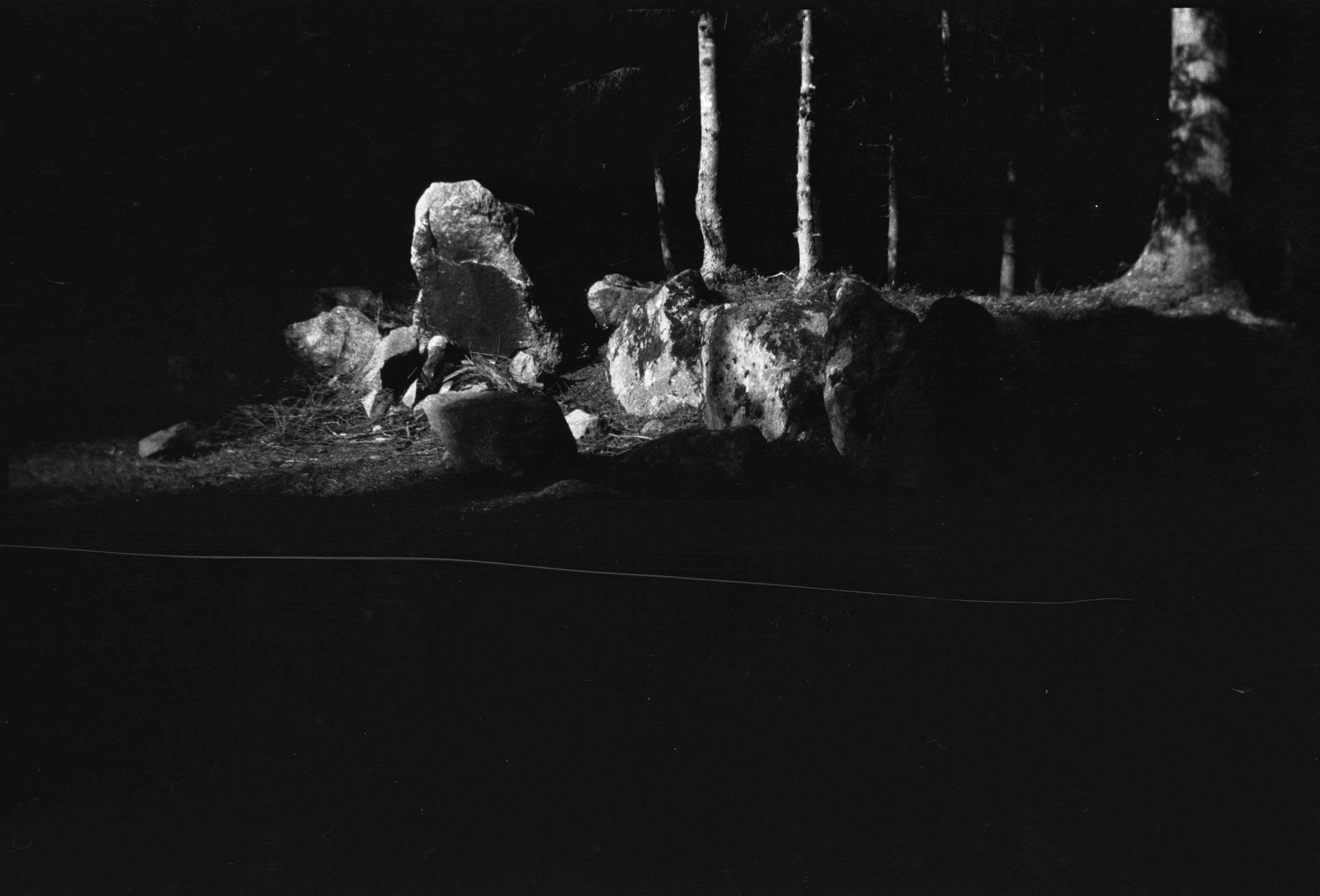 Berit Wallenberg, Håga