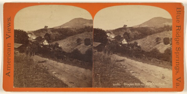 Edward and Henry T. Anthony & Co., Prospect Hill and Wild Cat Peak. [Blue Ridge Springs, Va.]