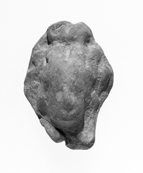 Unknown, Female Head