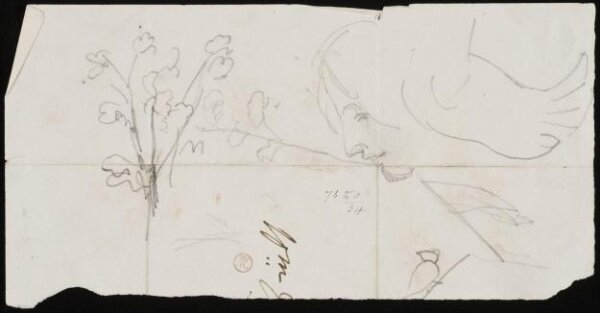 William Etty, Drawing